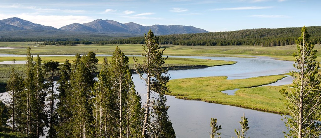 yellowstone